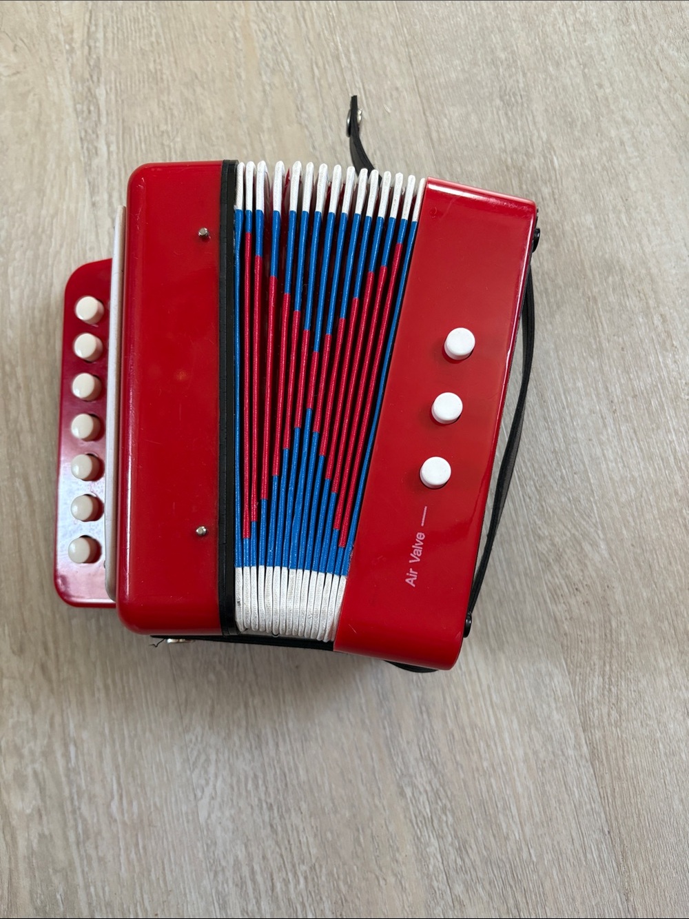 musical accordion